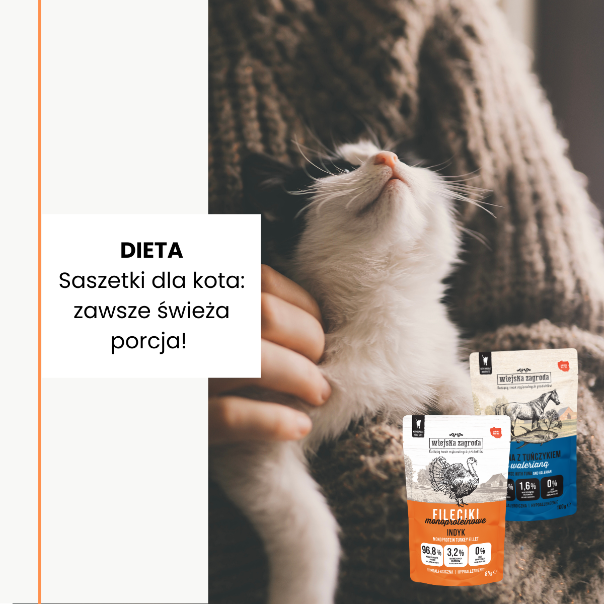 Saszetki dla kota: zawsze świeża porcja